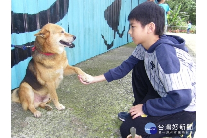 【台灣好新聞】動物之家狗狗和兒童互動（圖／資料照）